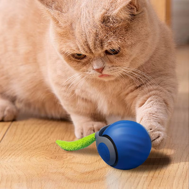 Bouncing Ball Pet Toy Smart Automatic Self Moving Ball Interactive Cat Play Toys Jumping USB Ball Bite Resistant for Dog Puppy