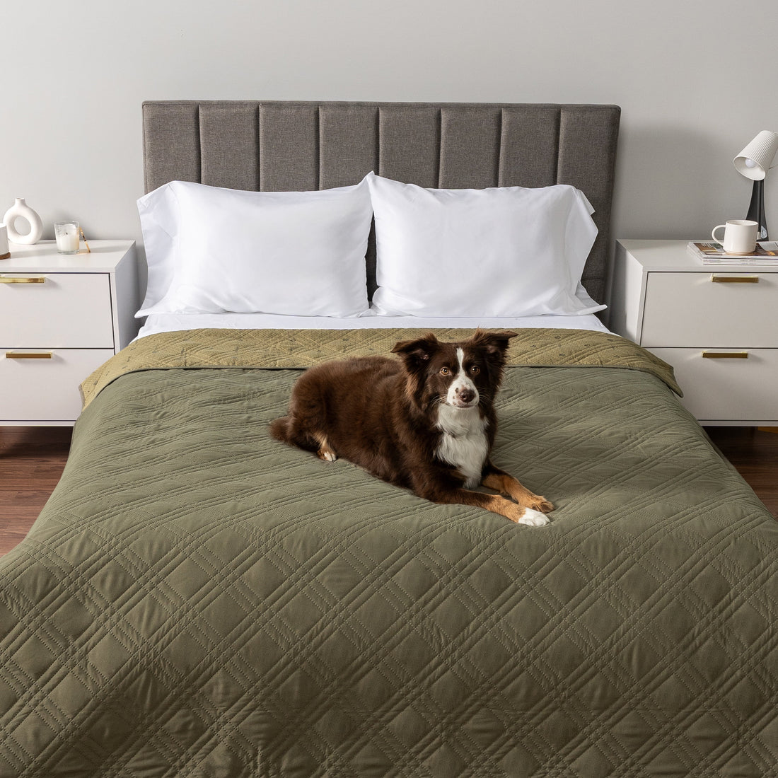 Waterproof Couch Cover for Dogs, Waterproof Pet Blanket, Reversible Furniture Cover Sofa Protector for Pet Cat Bed, Washable Waterproof Blanket Dog Cover for Couch Seat, 102X82 Green