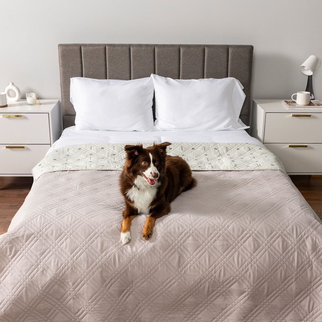 Waterproof Couch Cover for Dogs, Waterproof Pet Blanket, Reversible Furniture Cover Sofa Protector for Pet Cat Bed, Washable Waterproof Blanket Dog Cover for Couch Seat, 102X82 Beige